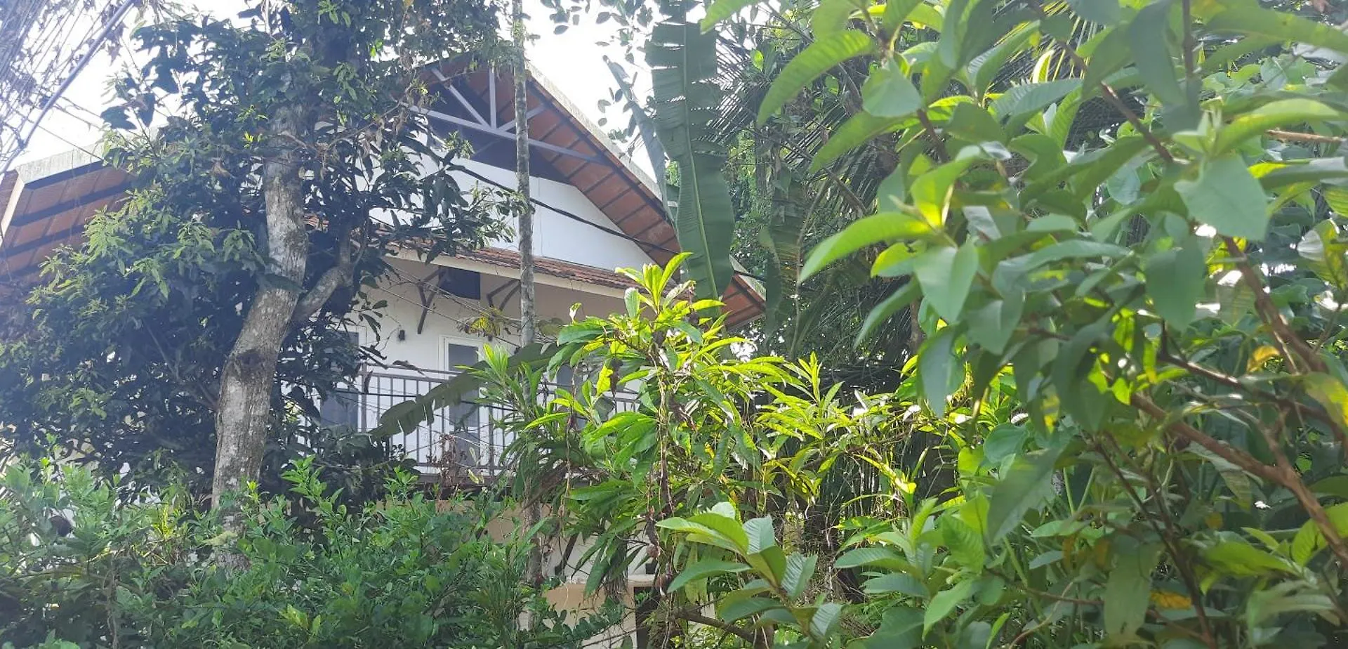 Homestay Dgh location